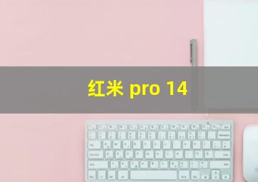 红米 pro 14